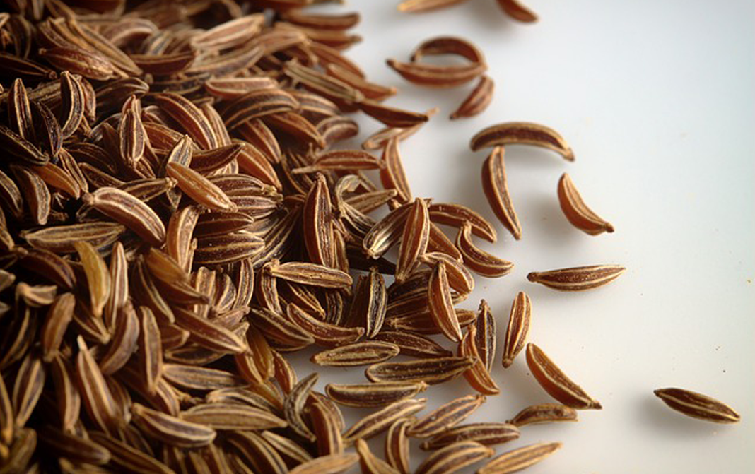 Caraway Seeds Complete Information Including Benefits Selection caraway-seeds-complete-information-including-benefits-selection